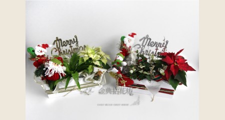 聖誕節快樂盆栽花禮