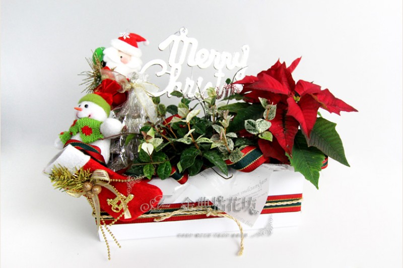 聖誕老人聖誕紅盆栽花禮